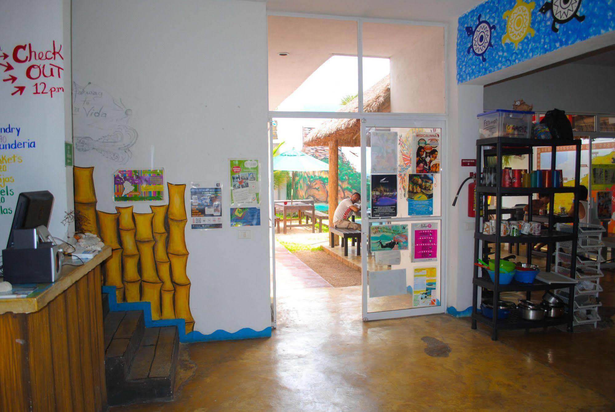 Hostal Vive La Vida Playa del Carmen Exterior photo