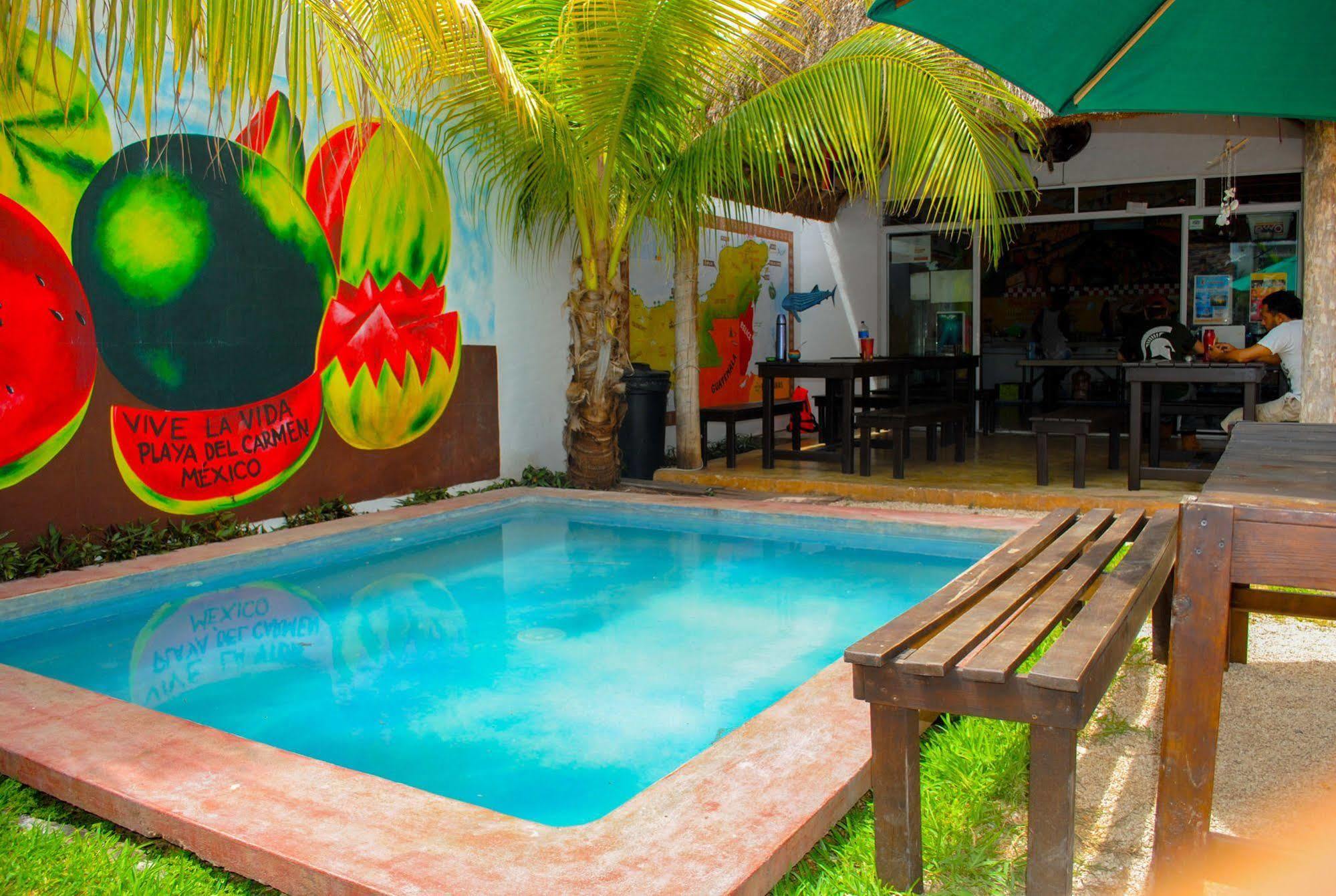 Hostal Vive La Vida Playa del Carmen Exterior photo
