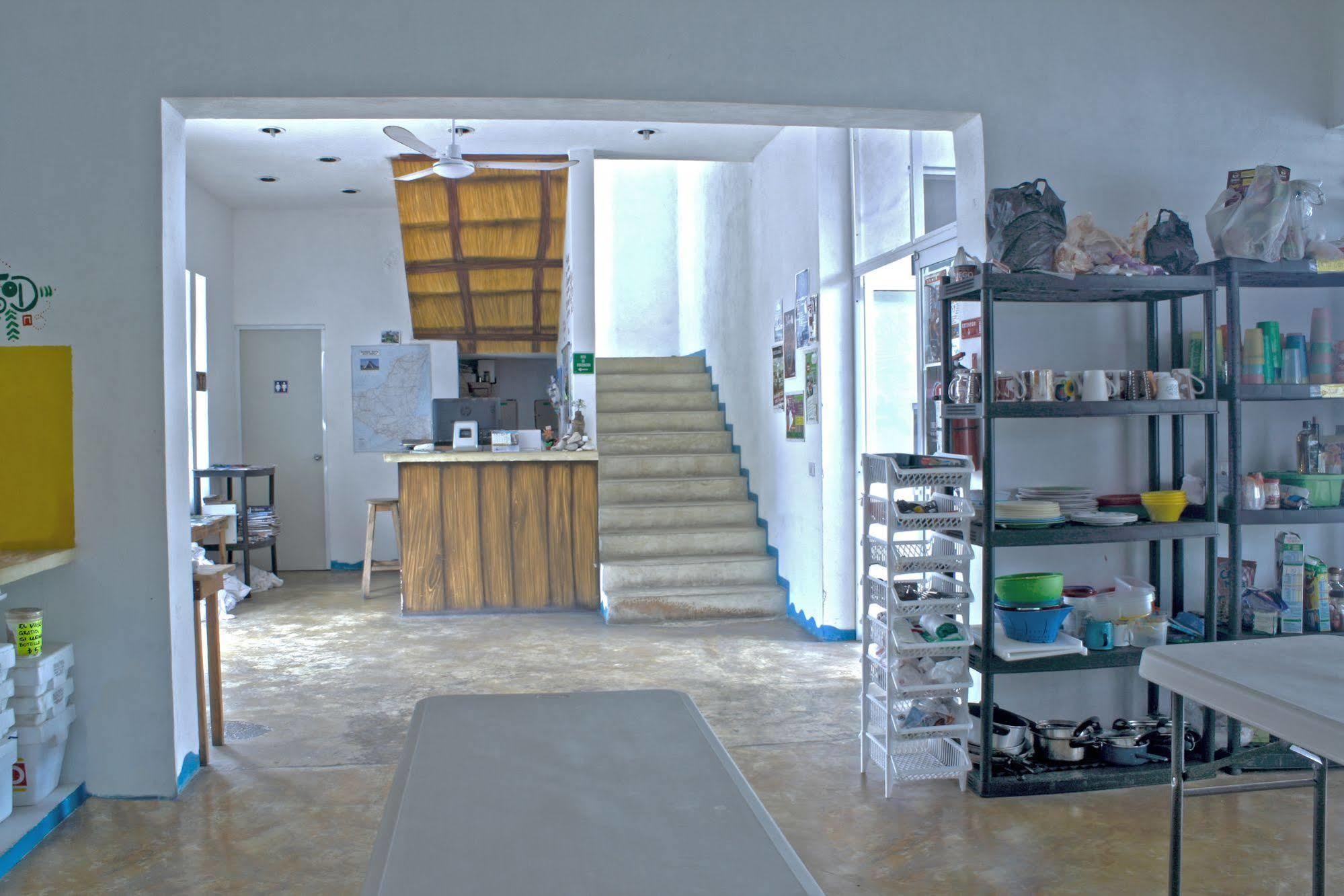 Hostal Vive La Vida Playa del Carmen Exterior photo